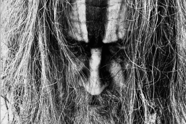 image 16
