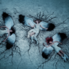 THE WARNING: Nuevo sencillo / video, 'Ritual' 8 The Warning Ritual